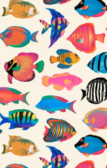 Lil Button Up Shirt ~ Rainbow Reef